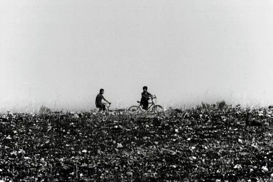 Mesopotamia, photograph 8