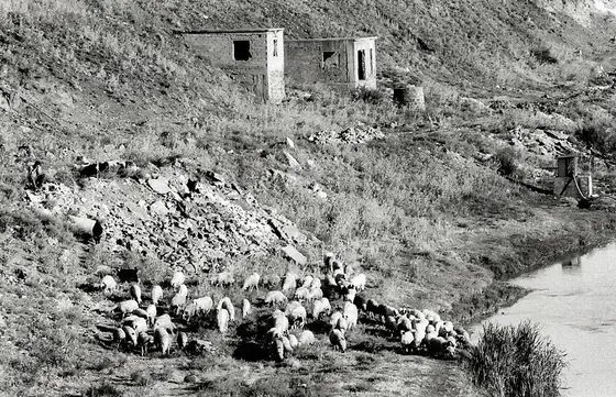 Mesopotamia, photograph 12