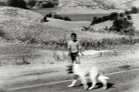 Mesopotamia, photograph 13
