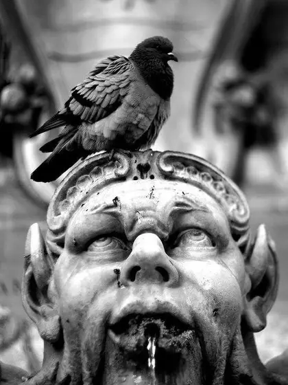 Roma, photograph 1
