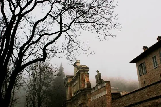 Sogno N°1, photograph 2