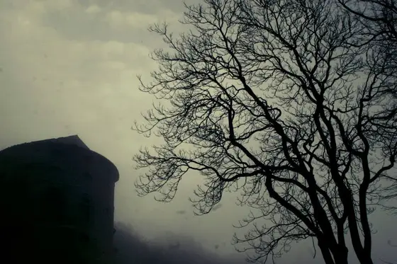 Sogno N°1, photograph 3