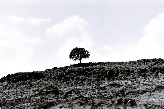 Vol. I, photograph 13