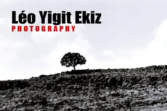 Vol. I, photograph 41