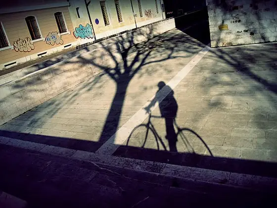 Vol. I, photograph 49