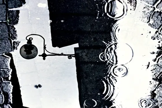 Vol. I, photograph 51