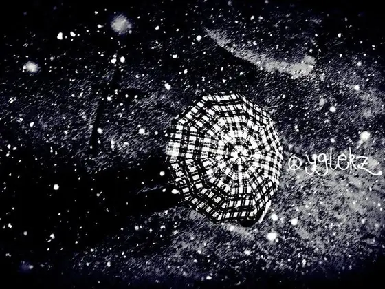 Vol. I, photograph 72