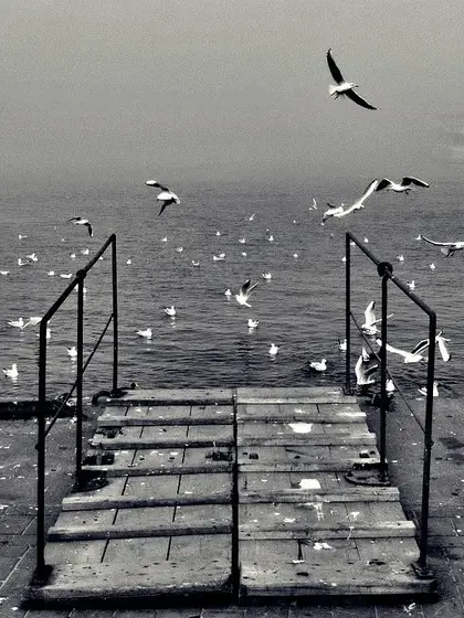 Vol. I, photograph 73
