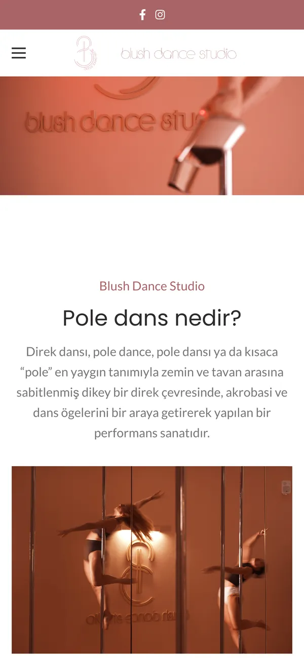 The old site on a phone: the sign photograph and “Pole dans nedir?”