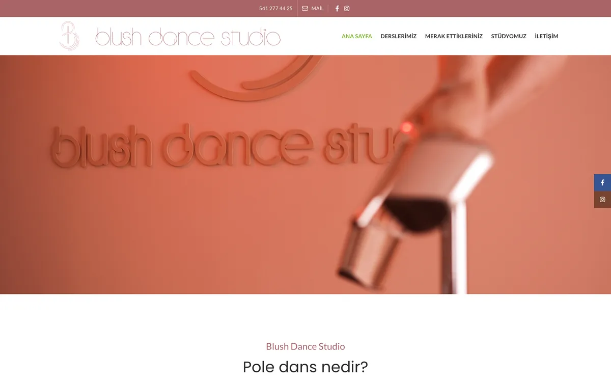 The old Blush Dance Studio site: a pink top bar, the logo and menu, and a large photograph of the studio sign