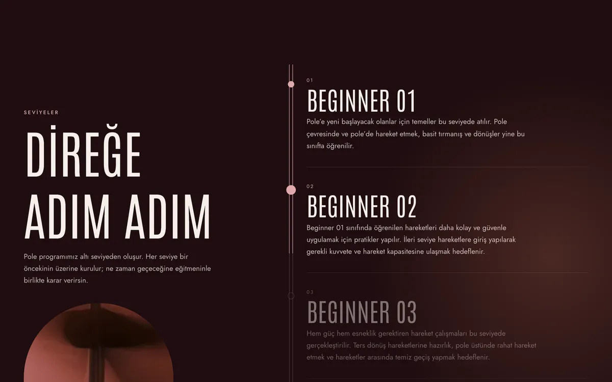 DİREĞE ADIM ADIM on wine red, beside the levels Beginner 01, 02 and 03 on a vertical line