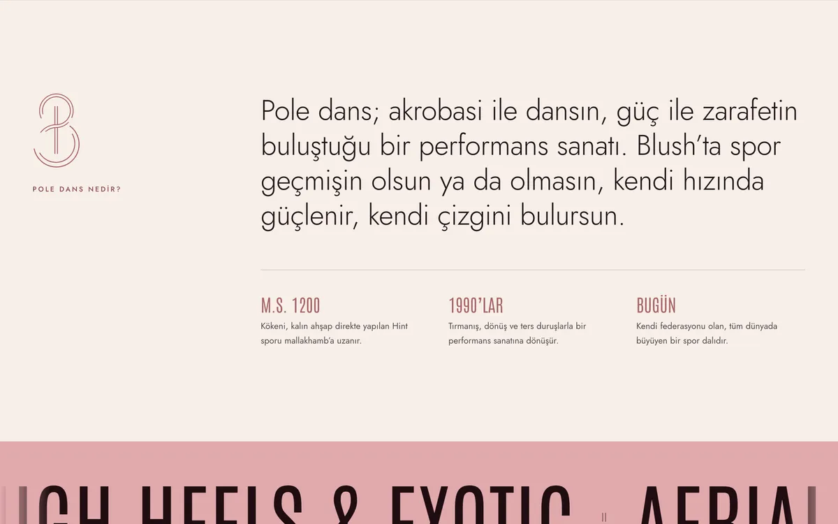 The monogram in rose beside a short text on what pole dance is, with M.Ö. 1200, 1990'lar and Bugün below