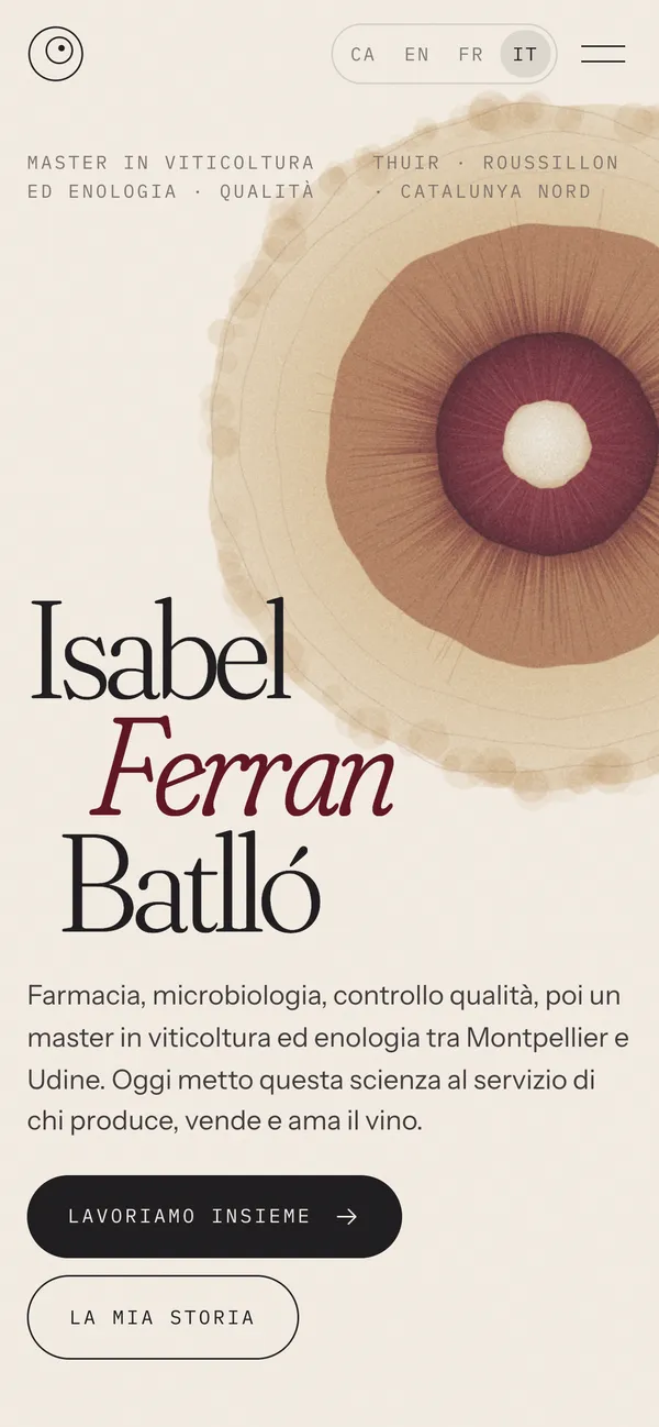 The homepage on a phone in Italian: Lavoriamo insieme
