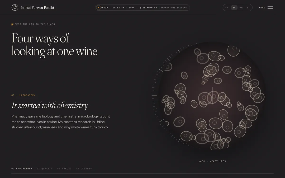 Four ways of looking at one wine, on dark grey, beside yeast cells drifting in a round microscope view